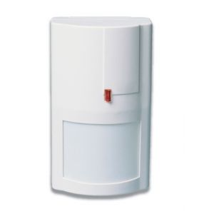 WS4904P