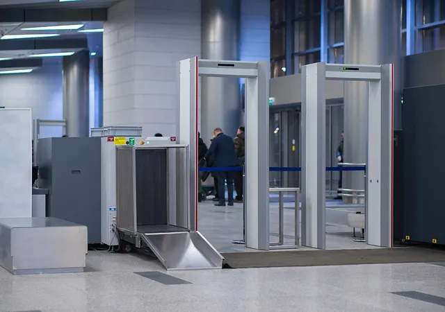 CEIA Italy Metal Detectors product category